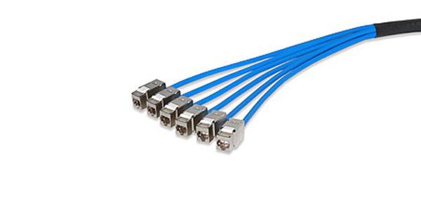 CAT6, Jack-to-Jack, Screened F/UTP Trunk Cable-img-1